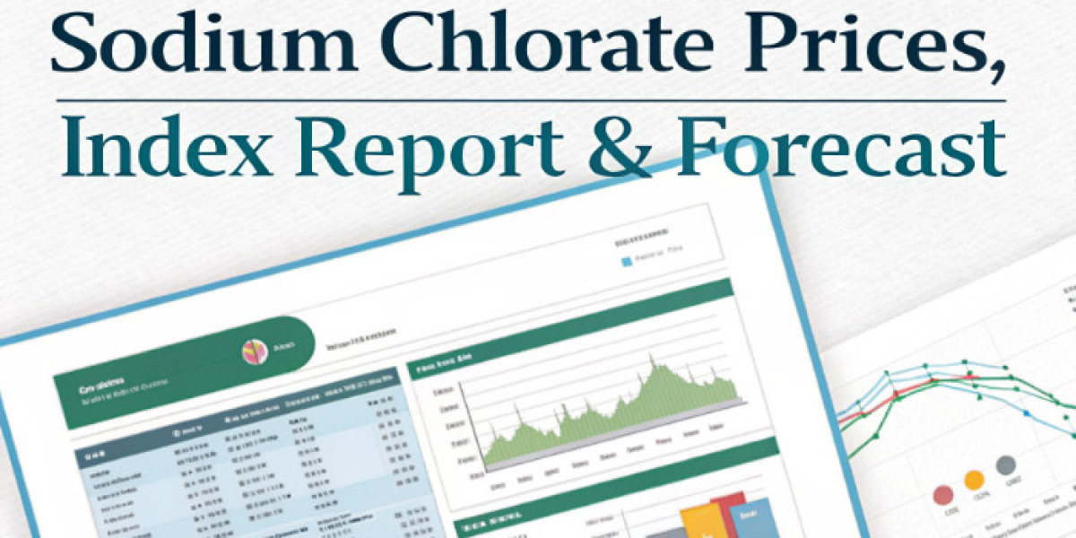 Sodium Chlorate Historical Price Chart – Past Prices & Trend Analysis Q4 2025
