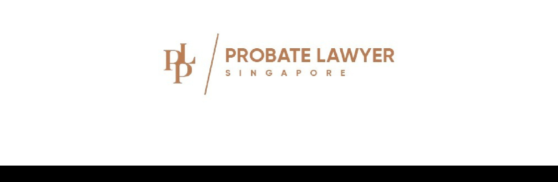 Singapore Lawyer Cover Image