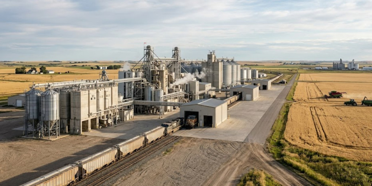 Wheat Starch Price Trend Analysis, Market Outlook & Forecast 2026